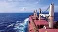Market in Focus: Bulkers