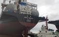 Anglo American's First LNG Dual-fuel Bulk Carrier Enters Service