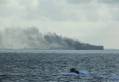 Oil Tankers on Fire After Colliding Close to Singapore, Crew Rescued