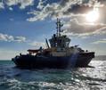 Svitzer to Deploy Two More Tugs in the Suez Canal
