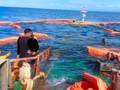 Philippines Fishermen Call for Justice After Oil Tanker Sinks