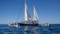 Nonprofit Ship Sets Sail for Gaza After Drone Attack