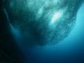 Overfishing Deal Reached After 20 Years of Negotiation