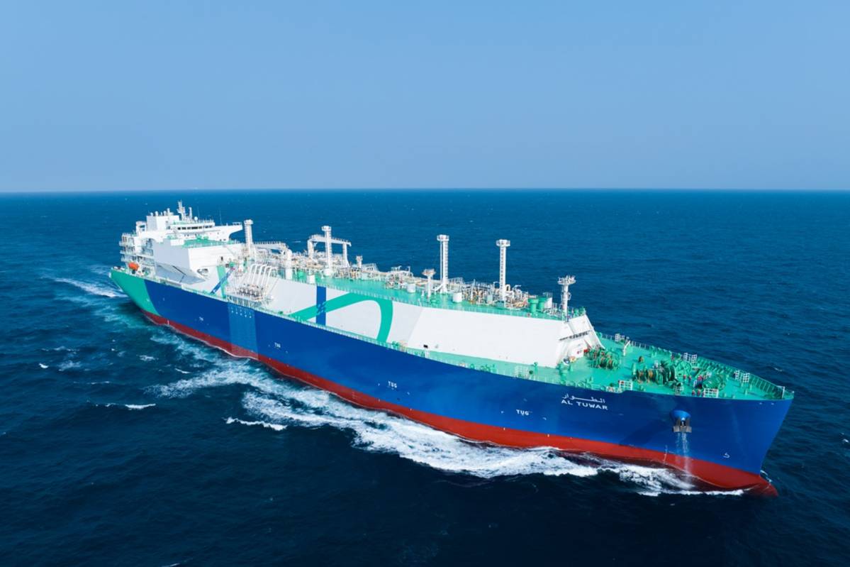 【当店一番人気】 Of First Name Partners NYK, 12 For Tankers LNG New キャットフード