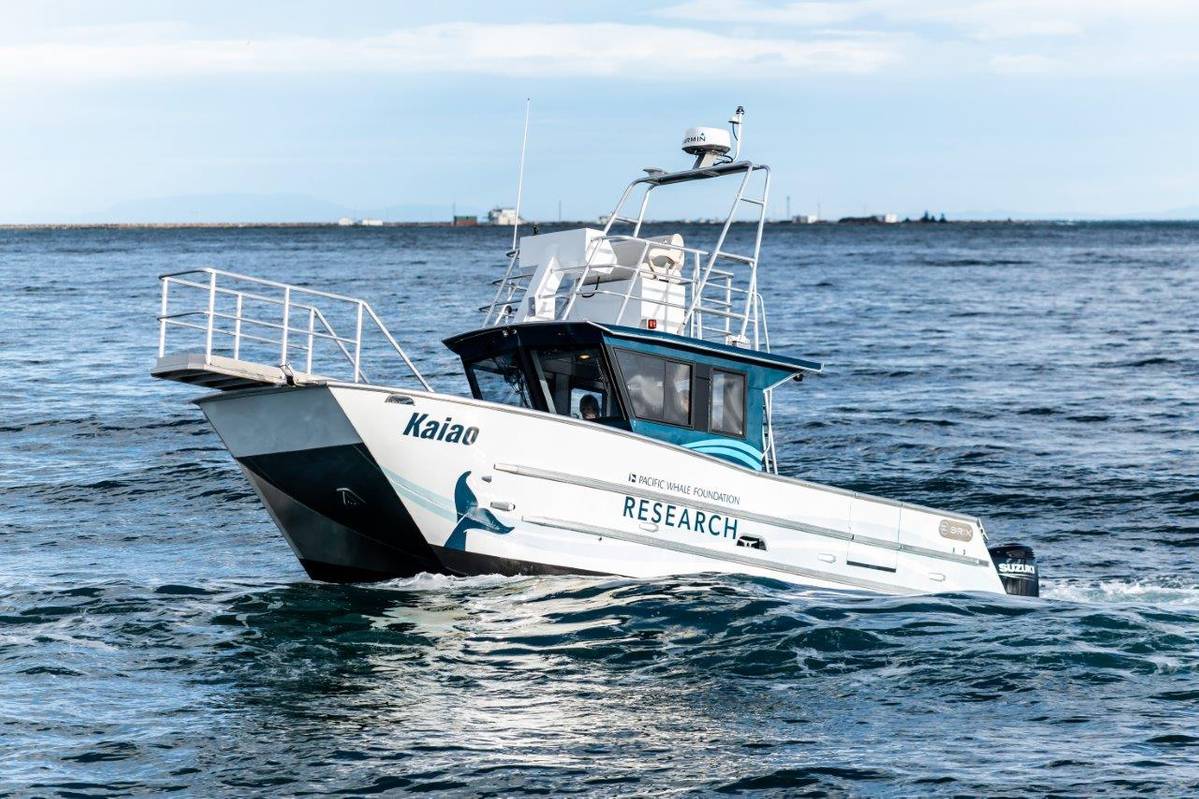 Brix Marine Delivers Research Vessel For Pacific Whale