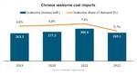 Chinese Inbound Coal Shipments Plummet 12.2%, Says BIMCO