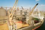 Ukraine Traders Seek Transparent Rules for Cargo Queue Under Grain Export Deal
