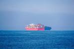 US Senate Approves Bill to Ease Export Shipping Backlogs