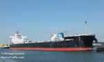 Diana Shipping Announces Time Charter with Cargill