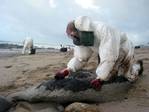 Insurer Must Pay Spanish Claim in Galicia Oil Spill, EU Court Says