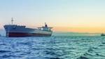 Marine Pollution Regulations Take Shape