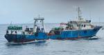 Credit: Fisheries Committee for the West Central G