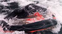 An inflatable life raft from sunken RoPax ferry Estonia (Photo: Accident Investigation Board Finland)