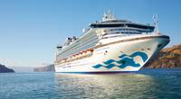 Diamond Princess (File photo: Carnival Corp.)