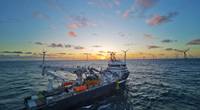 A ScanReach mesh can extend across an entire windfarm (Image courtesy Olympic Subsea)