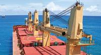 Pic courtesy: INTERCARGO
