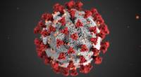 (Image: U.S. CDC)
