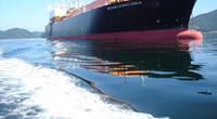 The Methane Patricia Camila. Image courtesy Silverstream Technologies/Shell