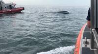 File photo (U.S. Coast Guard photo courtesy of Station New London)