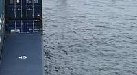 A 67-year-old-man man was taken aboard the President Eisenhower after the containership's master responded to a Coast Guard request for a vessel in the area to assist. (U.S. Coast Guard courtesy photo)