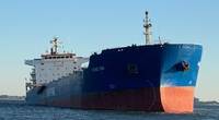 The coal carrier Hong Dai sits aground 400 meters northwest of Sewell's Point near Norfolk, Va., October 1, 2020. (Photo: U.S. Coast Guard)