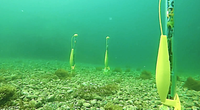 Photo: Aquabotix