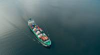 © a_medvedkov / Adobe Stock