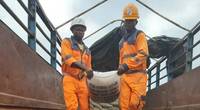 Image: APM Terminals