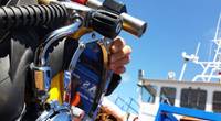 Image: Briggs Marine