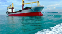 Bulk Ship Management vessel (Photo courtesy of Alfa Laval