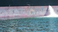 Pic: International Maritime Organization (IMO)