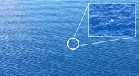 (U.S. Coast Guard illustration courtesy of Air Station Miami)