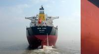 Pic: Diana Shipping Inc