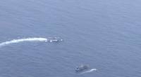 (Photo: Ecuador's Navy)