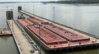 The first tows head through the recently completed Olmsted locks on U.S. inland waters. Characterized as a civil engineering feat of equal stature to that of the famed Manhatten project, the new infrastructure is already yielding dividends for inland stakeholders and the nation's economy. CREDIT: USACE