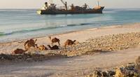 (Photo: Resolve Marine Group)