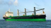 The first LNG dual-fueled handysize bulk carrier in the world, M/V Haaga, features a range of energy efficiency solutions on board (Photo: ESL Shipping)