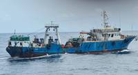 Credit: Fisheries Committee for the West Central Gulf of Guinea (File photo)