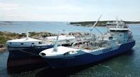 Coralius reaches 100 bunkerings milestone - LNG demand on the rise. Photo: Gasum Oy