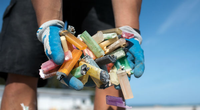 A marine debris team member gathers a handful of disposable cigarette lighters picked up at a beach cleanup site. (NOAA)