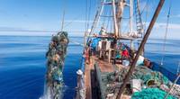 Fishing nets and debris being removed from the North Pacific Gyre by the crew of S/V KWAI. © Ocean Voyages Institute