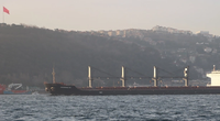 Five Iskenderun bulk carriers will be the first hulls applied with Nippon Paint Marine’s new FASTAR antifouling. Pictured is the 32,178dwt Akdeniz-M (Photo: Nippon Paint Marine)