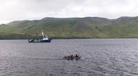 A dive team investigates sonar targets collected via the REMUS 100 AUV, with RV Norseman II sailing in the background (Photo: NOAA)
