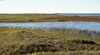 (File photo: USFWS)