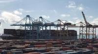 Pic: APM Terminals