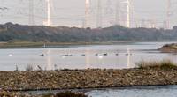 Pic: Port of Rotterdam Authority