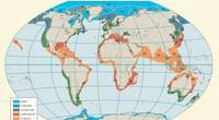 Figure 1. The nearcoastal areas of the world’s oceans have been classed into 66 large, transnational marine ecosystems, known as the large marine ecosystems (LMEs). Taken from World Ocean Review Living with the Oceans. 5 Coasts – 2017. Image: The Author