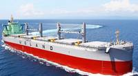 Image: Tsuneishi Shipbuilding