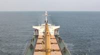 (File photo: Eagle Bulk Shipping)
