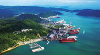 (Photo: Tsuneishi Shipbuilding)